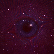 Space Probe Shut Down – now available online