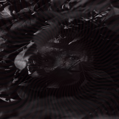 Source Code review by TimeMachine Productions